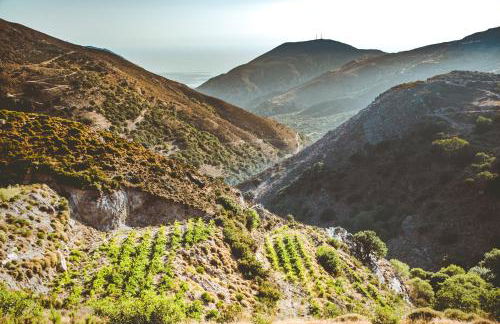 Ellafos Traditional Living-Elafonisi Couples Retreat - Foto 125