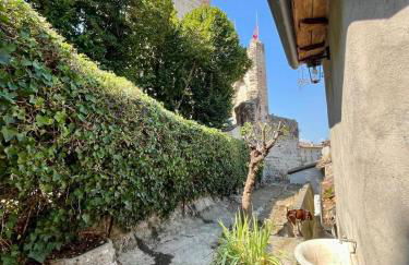 Torre del laghetto - Foto 24