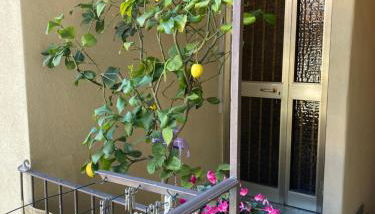 La Chabby del centro - Foto 5