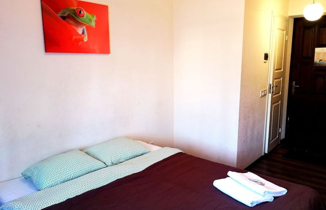 Orange Studio - Photo 21