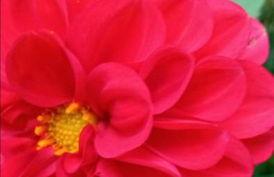 Casa Recanto Beija Flor, Monte Verde - Foto 35