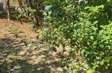 RESIDENCE Miranda - Foto 60