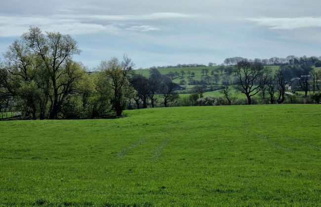 The Shippon -hot Tub ext chg - Superking-log Fire - Foto 20