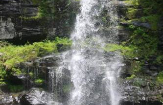 WoodHunterHome - Foto 60