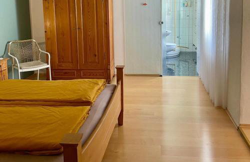 Fewo Rheinblick St Nikolaus Str - Foto 15