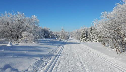 Ferienwohnung Cafe`Rotter , Brigitte und Jürgen Rotter - Foto 2