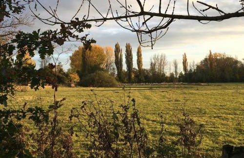 Attraktive 2 Zimmer Wohnung in Toplage, Nähe Messe - Foto 20