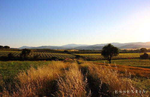 Agriturismo Essentia dimora rurale - Foto 71