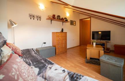 Specious Apartment Manitu in forest countryside - Foto 16