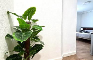 Famycus Rooms - Murcia Centro - Foto 23