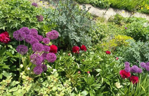 Sheep Dip Cottage - 5* Cyfie Farm, with log burner and private hot tub - Foto 18