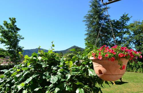 Mas Mialou - Foto 21