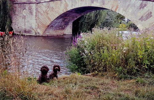 Tudor Cottage - Foto 32