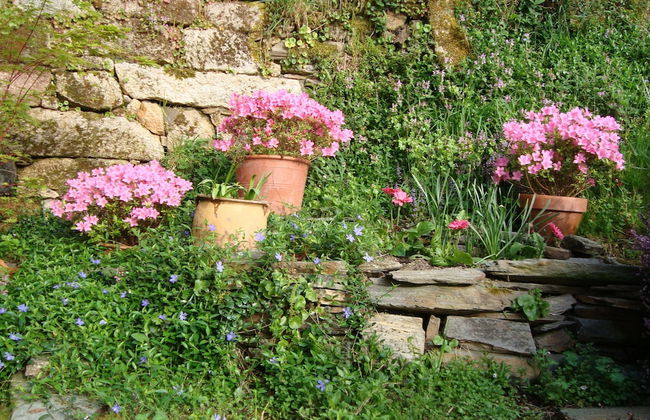 A Casa da Eira - Foto 38