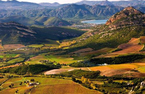 Domaine Ghjulia - Casa Nebbiu - Foto 38