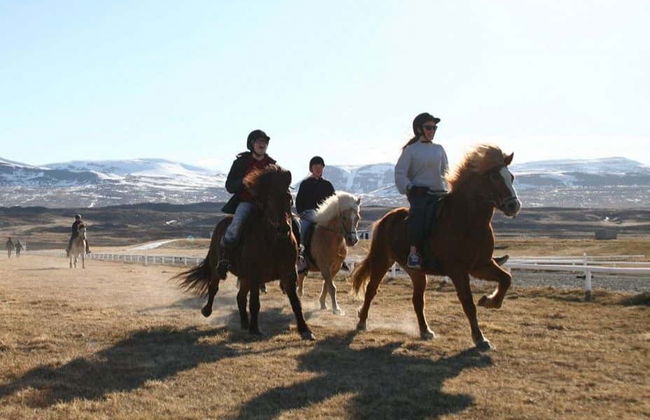 Varmahlíð Horse Riding Activity - Photo 3