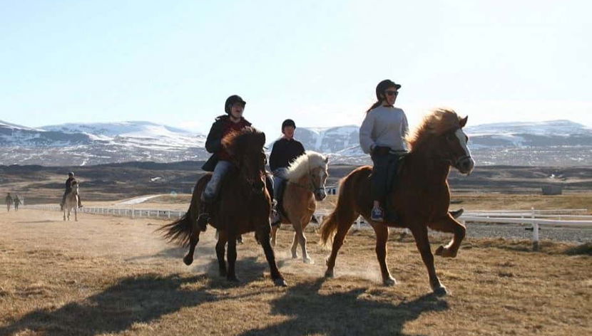 Going horse riding in Varmahlíð