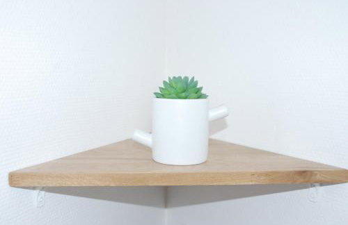 Studio Nancy quartier Thermal - Parc Sainte-Marie - Foto 22