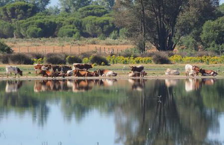La Casa de Oti playa Mazagón vistas al mar - Foto 37