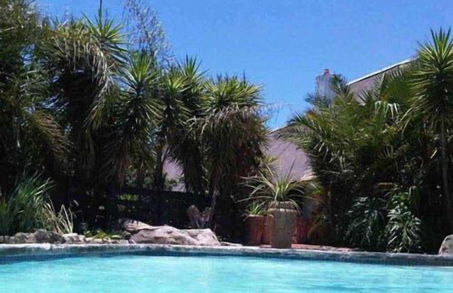 Pine Tree Lodge - Foto 40