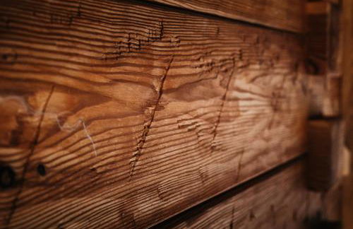 Die Suttenhütte - Foto 10