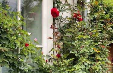 Das Garden House - Hohensee Erdgeschoss - Foto 4