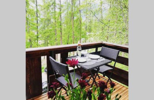 Le Petit Aupillon - L'Aupillon des Forêts - 2 studios cocooning aux Orres - Photo 15