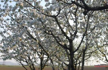 Agriturismo La Lupa - Photo 91