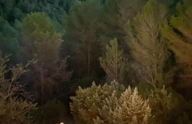 4BR Villa w private pool near beach Oliva Valencia - Foto 15