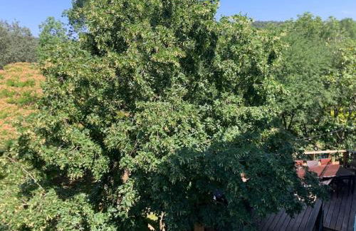 Maison en Provence La Cascatelle 6-8 pers - Foto 24