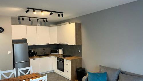 N&S Apartament na Lisiej - Foto 3, stove, dishwasher, pet friendly, minibar