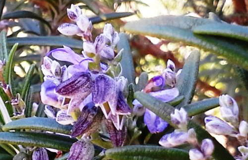 Villa Lugar do Pego - Foto 50