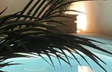 Au pied de la Cité Médiévale, piscine, vue extraordinaire, gîte La Trivala à Carcassonne - Photo 21