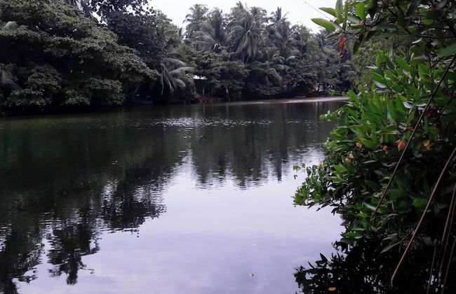 Serene Vista Villa - Foto 41