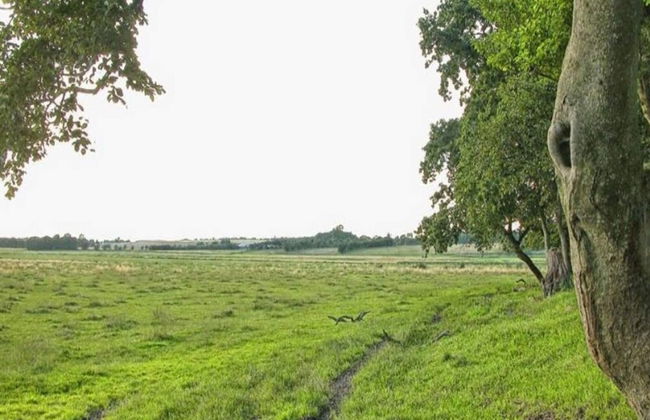 6 Person Holiday Home in Kolind - Photo 19