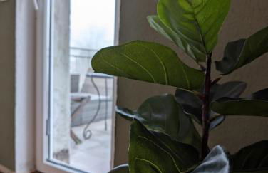 Maisonettewohnung am Badesee bei Kassel - Foto 18