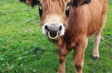 Hotel Rural Reciegos Complejo Agroturistico - Foto 38