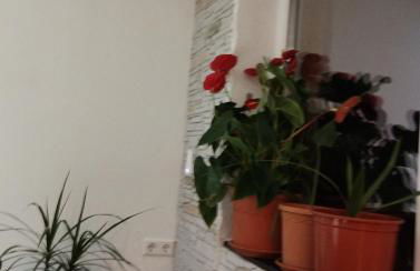 Haus Schliengen - Foto 1