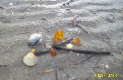 Landhaus op de Warft - Foto 60