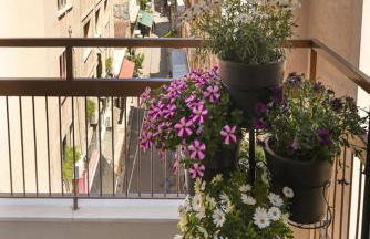 Athens Stories - Foto 158