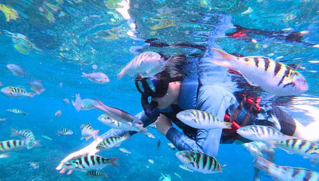 Swim in the pristine waters