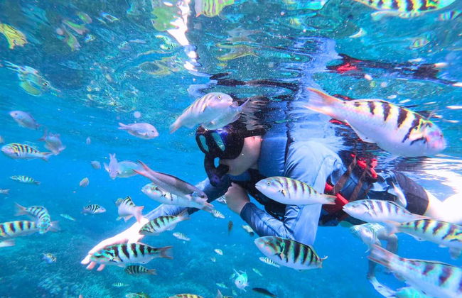 Nusa Lembongan Snorkeling - Photo 4