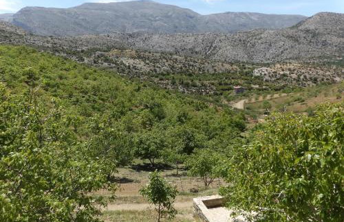 Arodamos Guesthouse - Foto 63