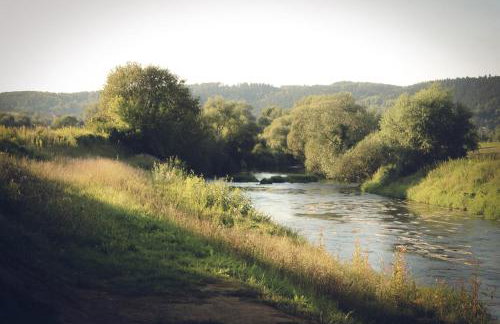 Domek na wsi - Fyrtokfest - Foto 48