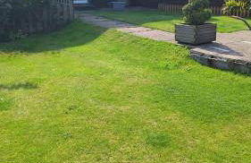 Robin Cottage - Foto 3