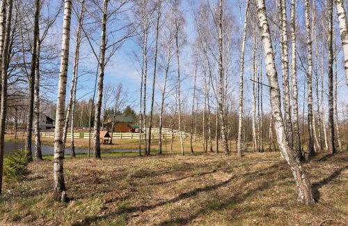 Apartamenty Białe Brzozy - Photo 70