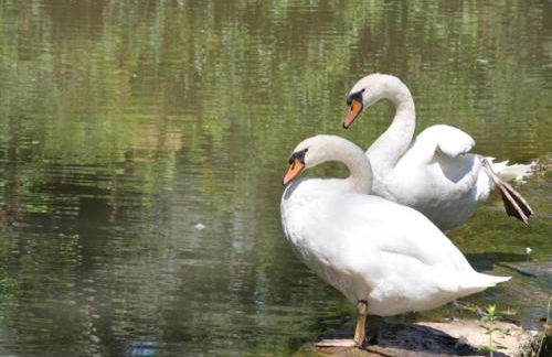 Villa in Bruniquel by Aveyron River - Foto 30