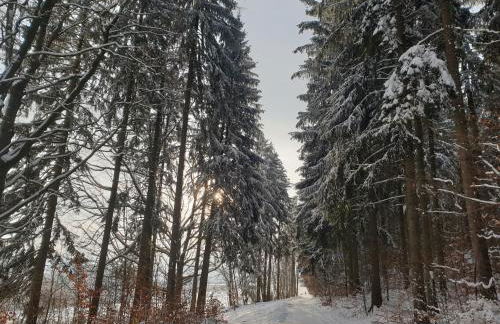 Klein aber fein - Apartment für 2 bis 4 Personen - Foto 47