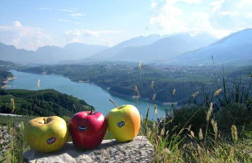 Casa vacanze Monica - Foto 13