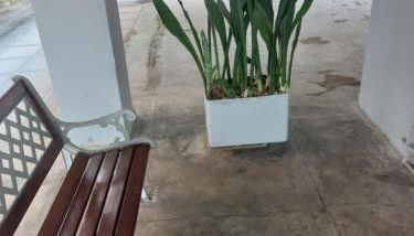 Nosso Canto - Photo 4